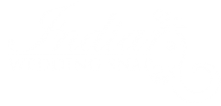 Indian Wedding Snap